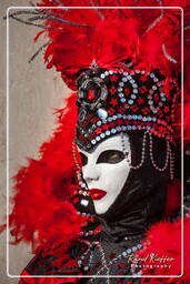 Carneval of Venice 2011 (822)