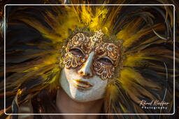 Carneval of Venice 2011 (897)