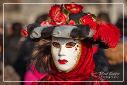 Carnevale di Venezia 2011 (966)