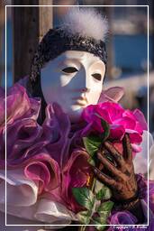 Carnaval de Venecia 2011 (1053)