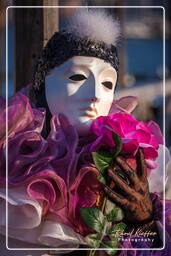 Carneval of Venice 2011 (1053)