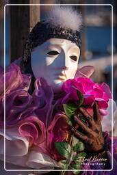 Carnaval de Venecia 2011 (1053)