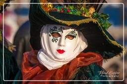 Carnevale di Venezia 2011 (1095)