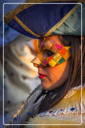 Carnevale di Venezia 2011 (1197)