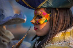 Carnevale di Venezia 2011 (1198)