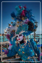 Karneval von Venedig 2011 (1784)