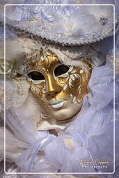 Carnevale di Venezia 2011 (1832)