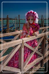 Carneval of Venice 2011 (2136)