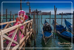 Karneval von Venedig 2011 (2169)