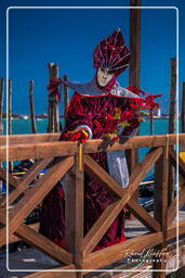 Carnevale di Venezia 2011 (2270)