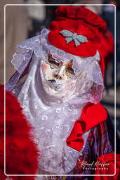 Carnaval de Venise 2011 (2370)