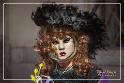 Carnaval de Venecia 2011 (2386)