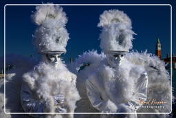 Carnevale di Venezia 2011 (2499)