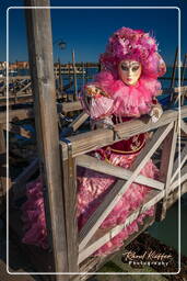 Karneval von Venedig 2011 (2580)