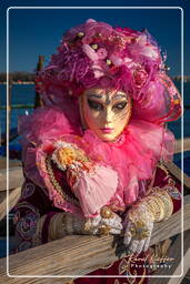 Carnevale di Venezia 2011 (2585)