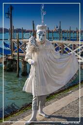 Carneval of Venice 2011 (3025)