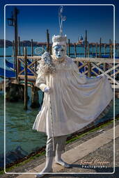 Karneval von Venedig 2011 (3025)