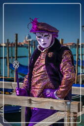 Karneval von Venedig 2011 (3035)