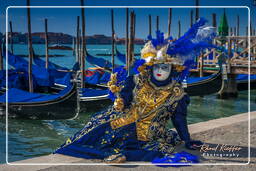 Karneval von Venedig 2011 (3047)