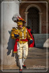 Karneval von Venedig 2011 (3124)