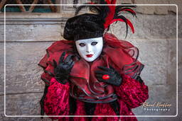 Carneval of Venice 2011 (3142)