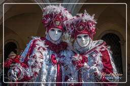 Karneval von Venedig 2011 (3209)