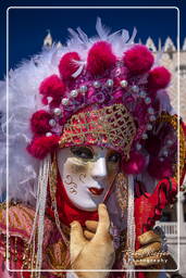 Karneval von Venedig 2011 (3250)