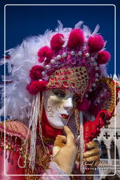 Karneval von Venedig 2011 (3253)