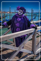 Carnaval de Venecia 2011 (3259)