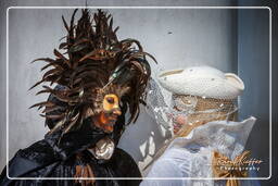 Carnevale di Venezia 2011 (3285)