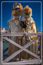 Karneval von Venedig 2011 (3406)