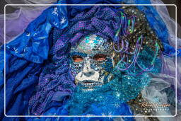 Carneval of Venice 2011 (3510)