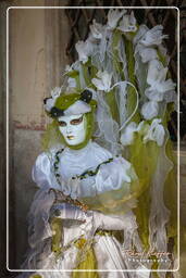 Carnaval de Venise 2011 (3610)