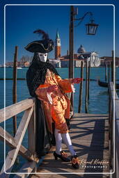 Carnaval de Venecia 2011 (3682)