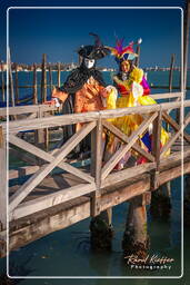 Karneval von Venedig 2011 (3723)