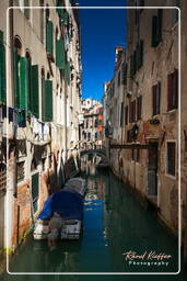 Venice 2011 (35)