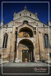 Duomo, Verona (207)