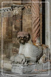 Duomo, Verona (219)