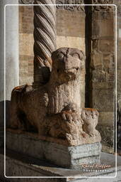 Duomo, Verona (220)