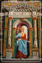 Duomo, Verona (236)
