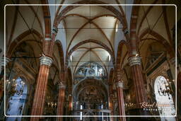 Duomo, Verona (238)