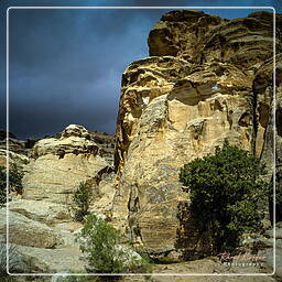 Al Barid, Petra (4)