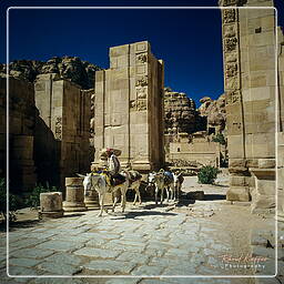Arched Gate, Petra (38)