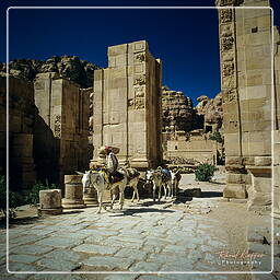 Petra (38) Puerta Arqueada