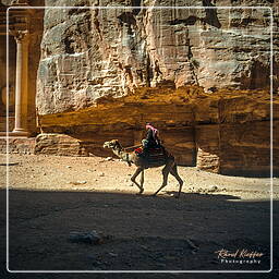 Petra (101) Khazneh