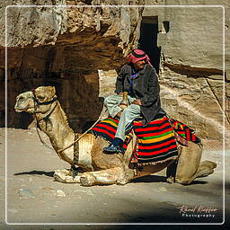 Khazneh, Petra (103)