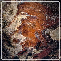 Lion Triclinium, Petra (129)