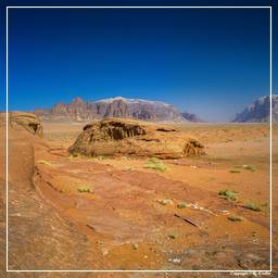 Wadi Rum (13)