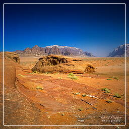 Wadi Rum (13)