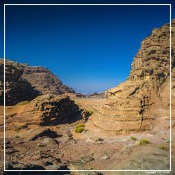 Wadi Rum (14)